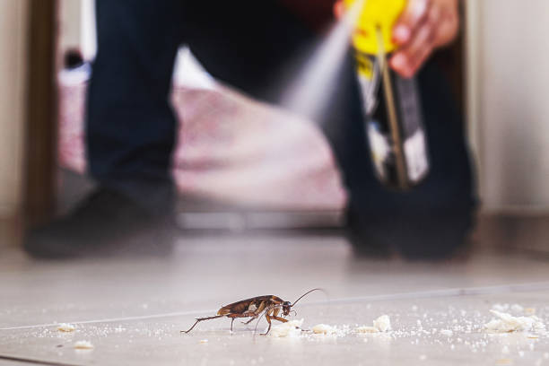 Flea Control Services in Hartington, NE